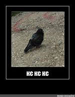 Image result for Bird Disapointment Meme