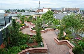 Image result for Green Roof Garden