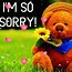 Image result for I AM Sorry GIF Meme