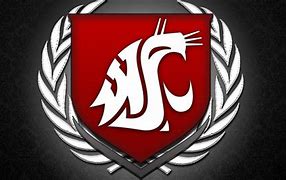 Image result for WSU Logo.jpg