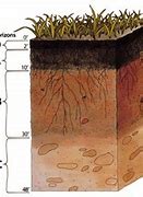 Image result for Tropical Soil