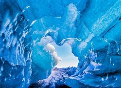 Image result for Arctic Nature