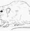 Image result for Outline Rat Trap