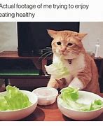 Image result for HealthyLife Meme