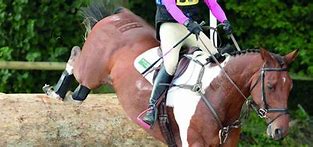 Image result for Side Saddle Show Jumping