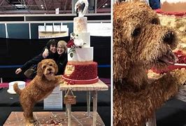 Image result for Realistic Dog Cake