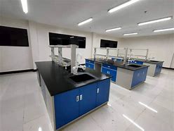 Image result for Laboratory Table with Sink