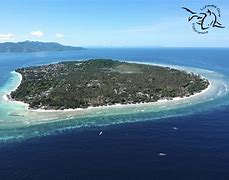 Image result for Gili T Aerial