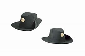 Image result for LAPD Drill Instructor Hat