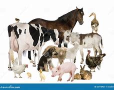 Image result for Farm Animals Toob