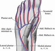 Image result for Thug Plantar