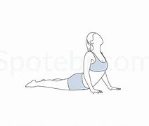 Image result for Bhujangasana Pose