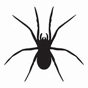 Image result for Spider Vector Art