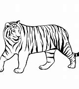 Image result for Cute Tiger Line Art