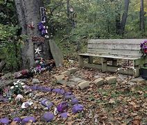 Image result for Skylar Neese Grave