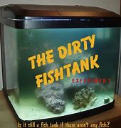 Image result for Dirty Fish Tank