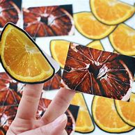 Image result for Citrus Stickers