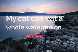 Image result for CRISPR Cat