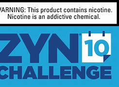 Image result for Zyn 10Mg