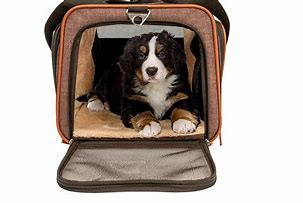 Image result for Expandable Pet Carrier