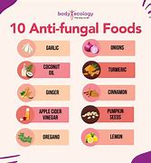 Image result for Foods to Avoid with Candida Overgrowth