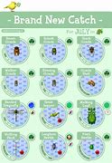 Image result for Animal Crossing New Leaf Fish