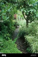 Image result for Royal Paved Path in Garden