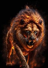 Image result for Lion and Fire