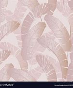 Image result for Blush Pink Pattern