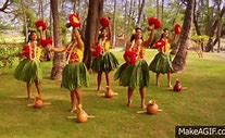 Image result for Tahitian Dancing GIF