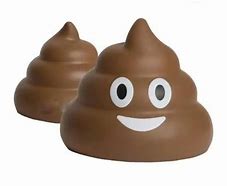 Image result for Poop Emoji Stress Ball