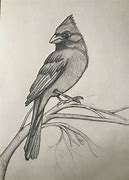 Image result for Pencil Bird Drawings Simple