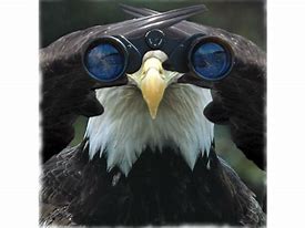 Image result for Eagle Eye Meme