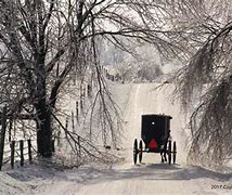 Image result for Old Order Amish