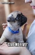 Image result for Meme Give Me Five