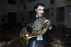 Image result for French Horn Orchestra