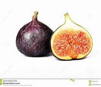 Image result for Fig Fruit Clip Art