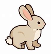 Image result for Rabbit