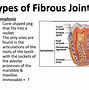 Image result for Fibrous Joint