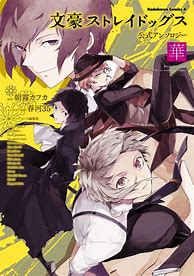 Image result for Bungou Stray Dogs Comic