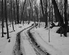 Image result for Logging Road