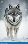 Image result for Wolf Side Rear View