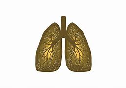 Image result for Lung Bio Logo