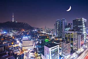 Image result for The Sed South Korea Night Life