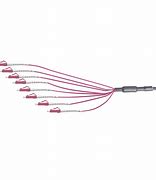 Image result for Fiber Optic Trunk