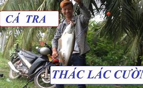 Image result for Cá Thác Lác Sông Có Mấy Loại