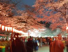 Image result for Ueno Park Hanami