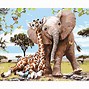 Image result for Zoo Drawing