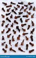 Image result for Elegant Cloves