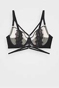 Image result for 44 Ee Bras